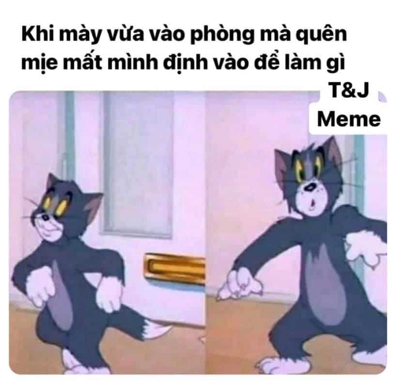 Tom and Jerry meme Việt Nam hài hước