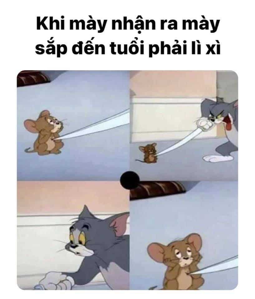 Tom and Jerry meme Việt Nam siêu hài