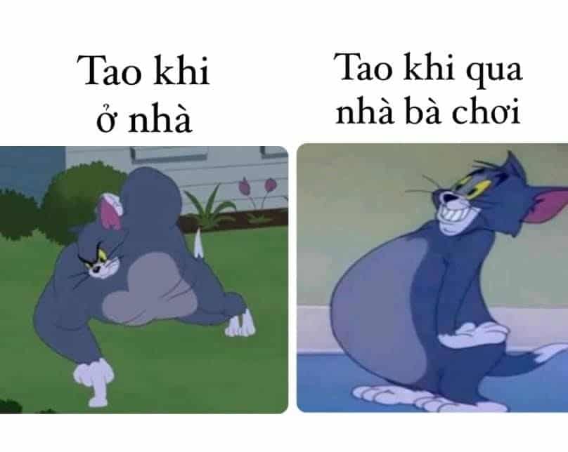 Top những hình ảnh Tom & Jerry cute nhất hài hước