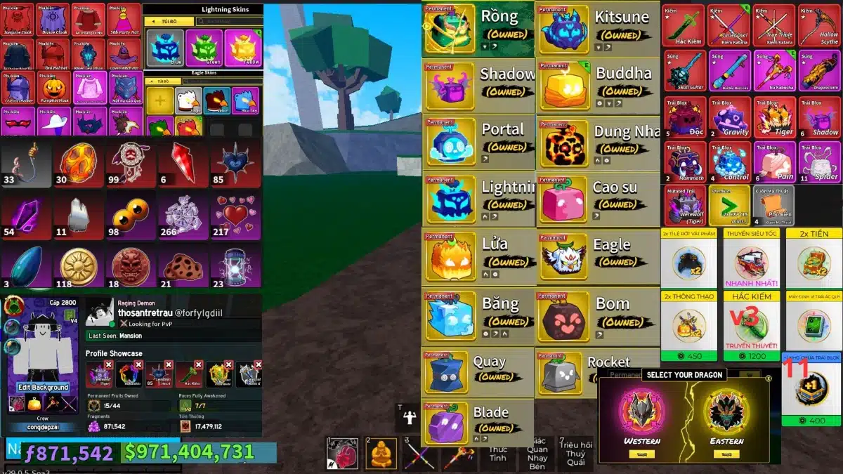 Acc Roblox blox fruit level 2800 free